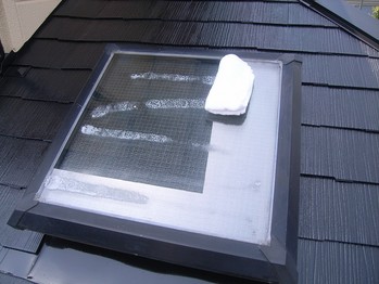 ŷ�������