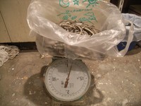 ű�����������