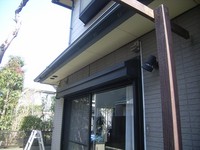 �����˥�ű���