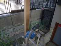 ��θ�������