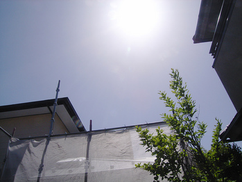 晴れました
