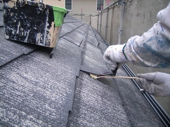 ���顼�٥��Ȳ�����ߤ��ʪ�β��ȳ�������Բ���