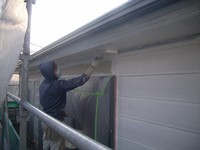 ��΢����������