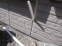 �Хå����å׺�Ⱦʬ�ˤ�����Ŷ