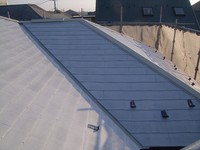 ���顼�٥��Ȳ��������顼������������