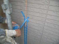 �����ơ��׽���