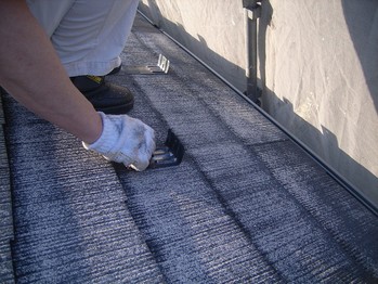 ���顼�٥��Ȳ�����ߤ��ʪ���ܹӤ餷 by ���å�������