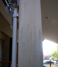 ���֤��������