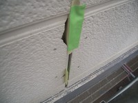 ����ơ��פ��ڼ�