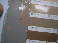 Ĵ�������ܷ��