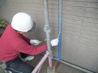 �������� �إ鲡�����ʥʥӤ��