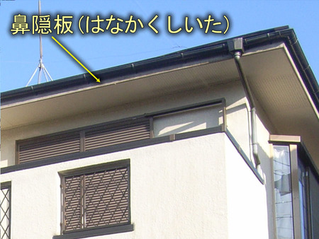 鼻隠板