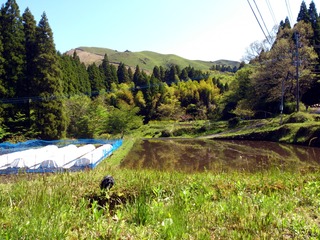 黒川周辺の風景1