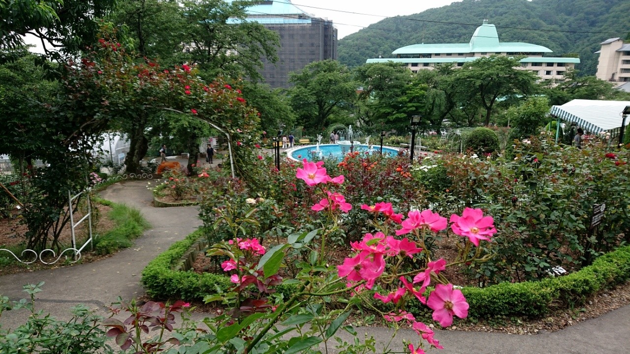 花巻温泉バラ園 可睡の杜の小さなブログ