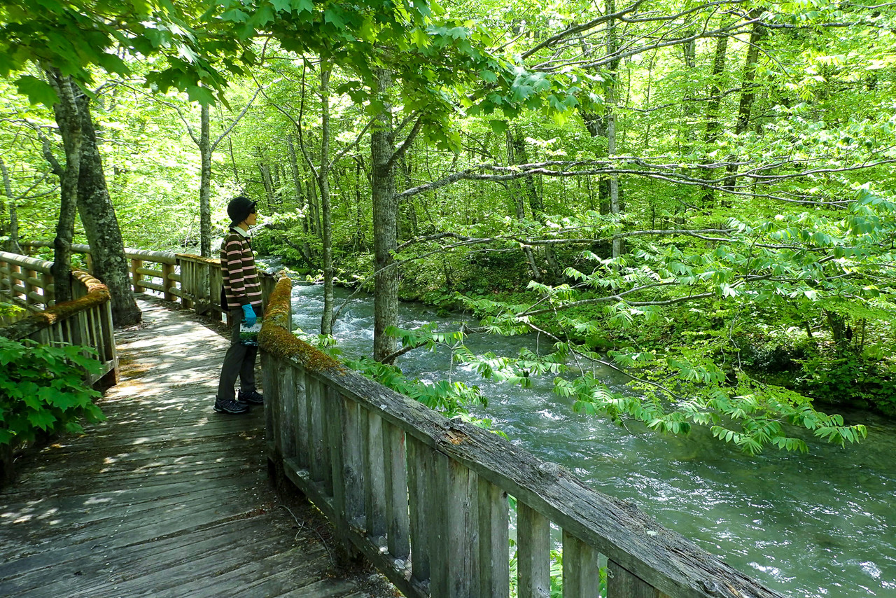 奥入瀬渓流散策 奥入瀬渓流館 石ヶ戸 北の小さな町から 奥入瀬渓流散策 奥入瀬渓流館 石ヶ戸 北の小さな町から