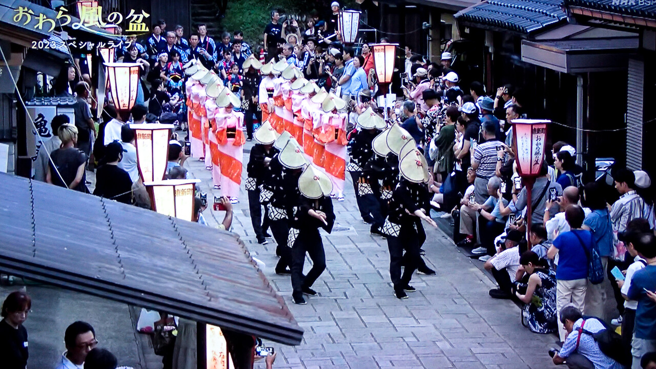 NHK-BSP おわら風の盆2023 スペシャルライブ : 北の小さな町から