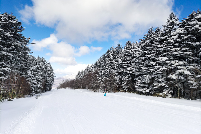 恵みの雪が降りました