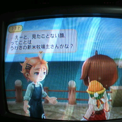 牧場物語メモ わくアニ 常葉怜の語ってナンボー