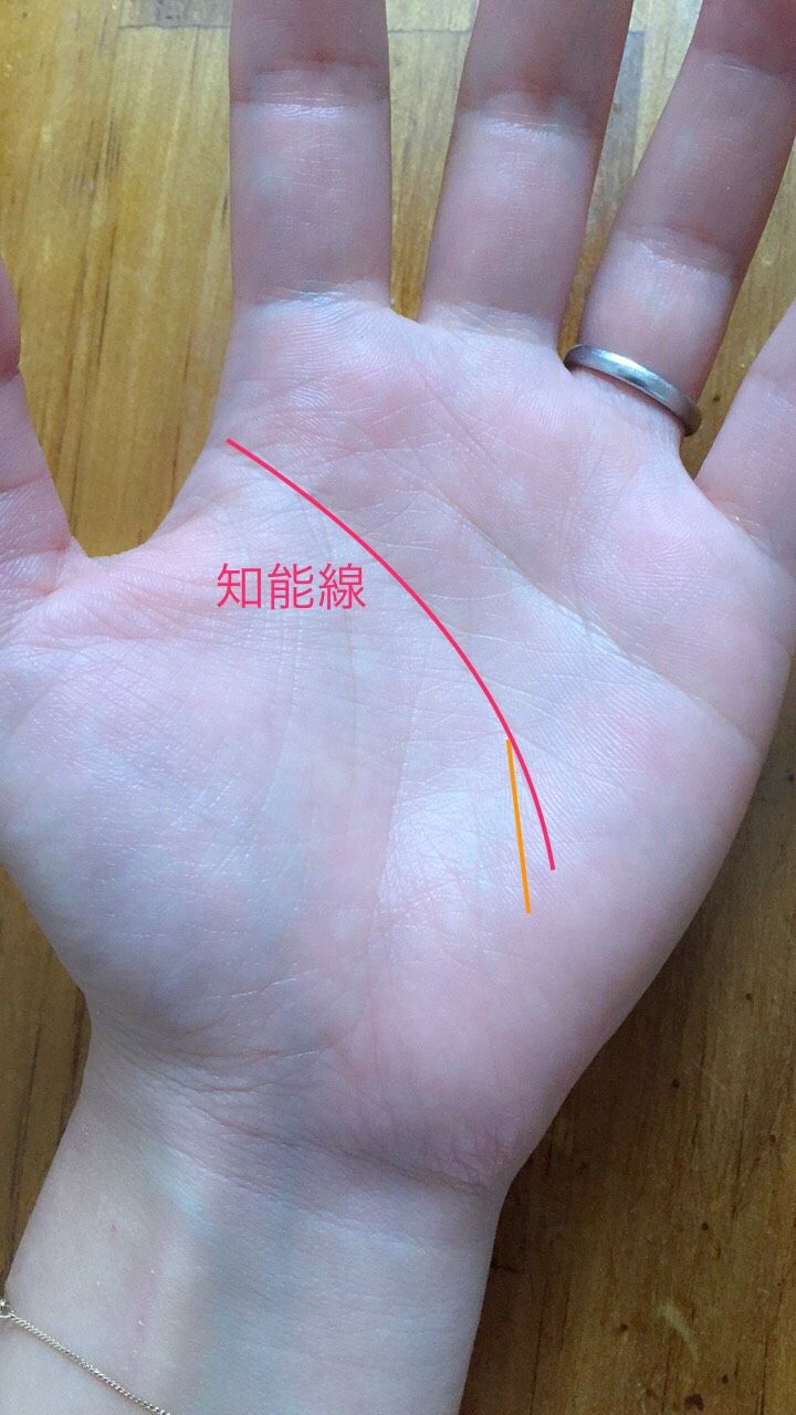 知能線の枝分かれ 伸びてます 手相で未来を予測 福岡で手相鑑定やってます
