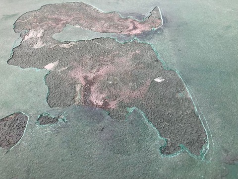 LINE_ALBUM_有田テニス_241209_7