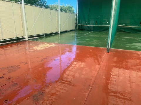 LINE_ALBUM_有田テニス_241209_1