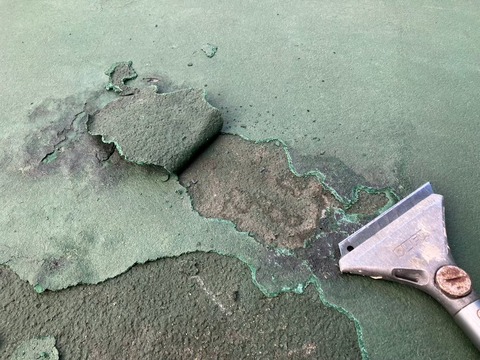 LINE_ALBUM_有田テニス_241209_8