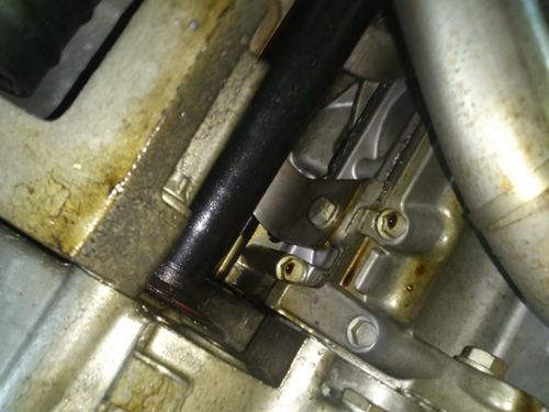 ������ϳ��