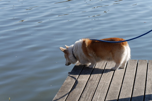 ���������ס����帵����