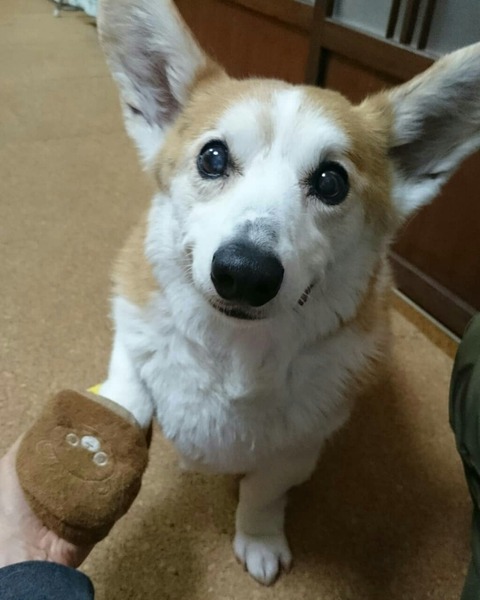 ���פ��֤�Ǥ�