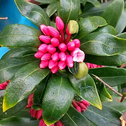 HORIZON_0002_BURST20240218164724466