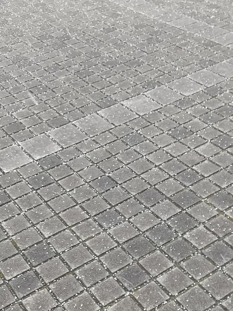 SYMMETRY_0001_BURST20240125153348028_COVER