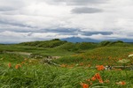 IMG_09582