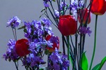 IMG_05732