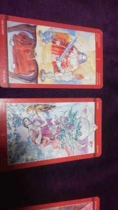 タロット占い サバトニア マンドレイクの魔術的タロット生活