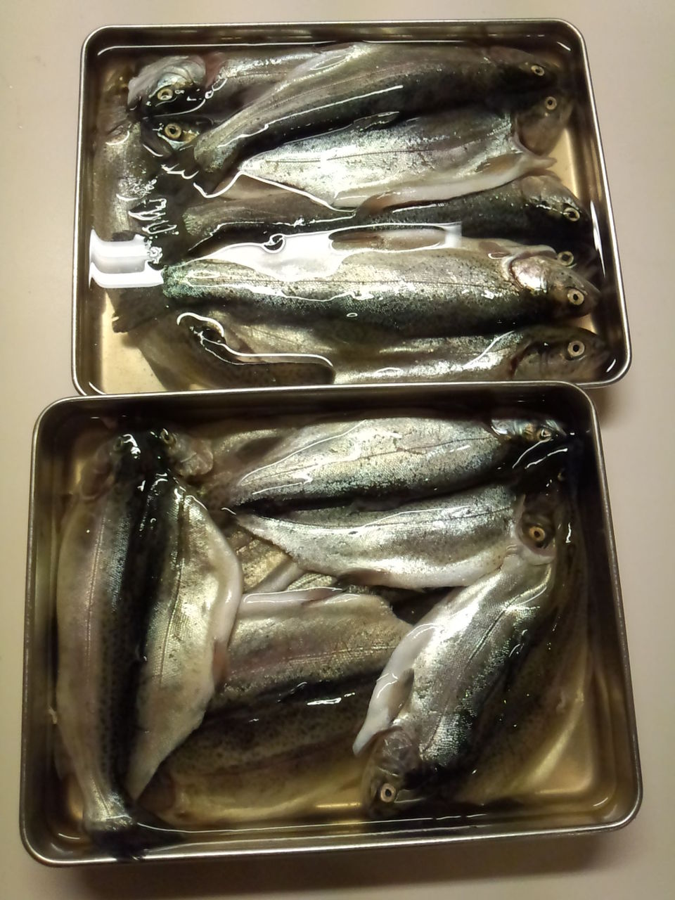 ニジマスの干物 サビキ丸船長 ニジマスの干物 サビキ丸船長