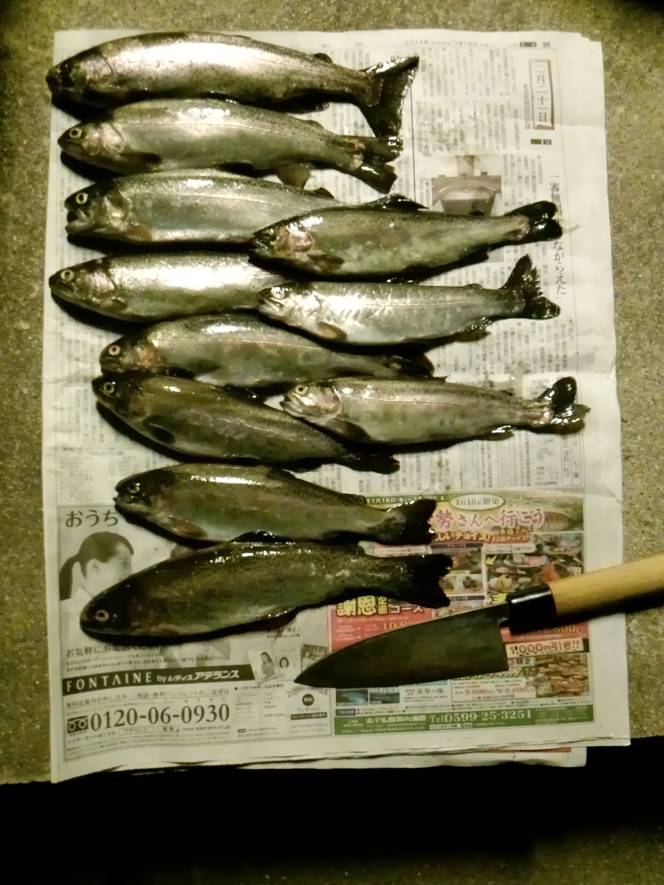 ニジマスの干物 サビキ丸船長 ニジマスの干物 サビキ丸船長