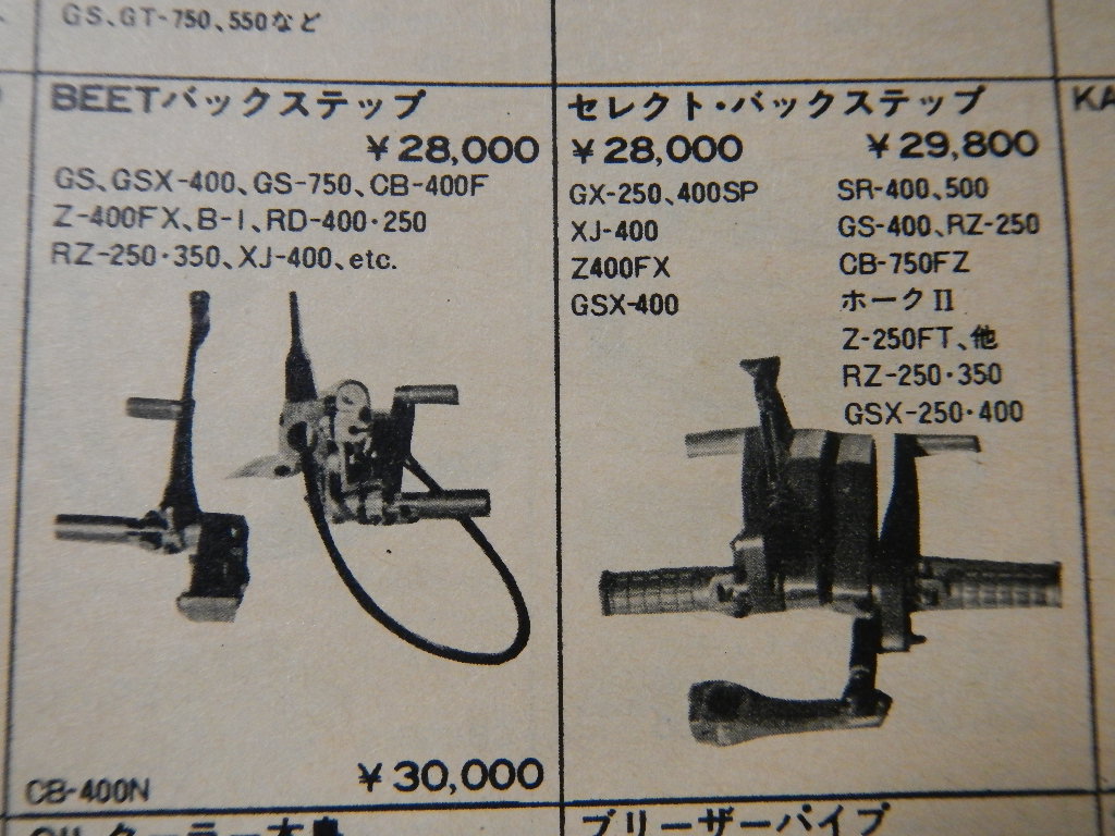 バックステップ！！ CB250RSZ : sabiyama600のblog