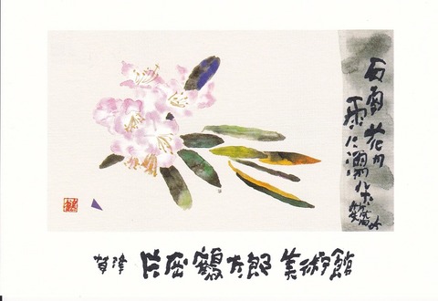 絵葉書の世界：片岡鶴太郎 : ジョヴァンニッキ2