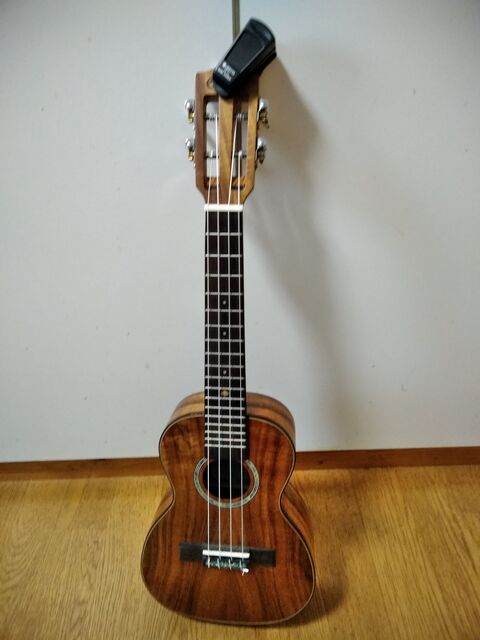 泥縄式ウクレレ練習法 ジョヴァンニッキ2 泥縄式ウクレレ練習法 ジョヴァンニッキ2