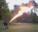 120dfd0e.jpg