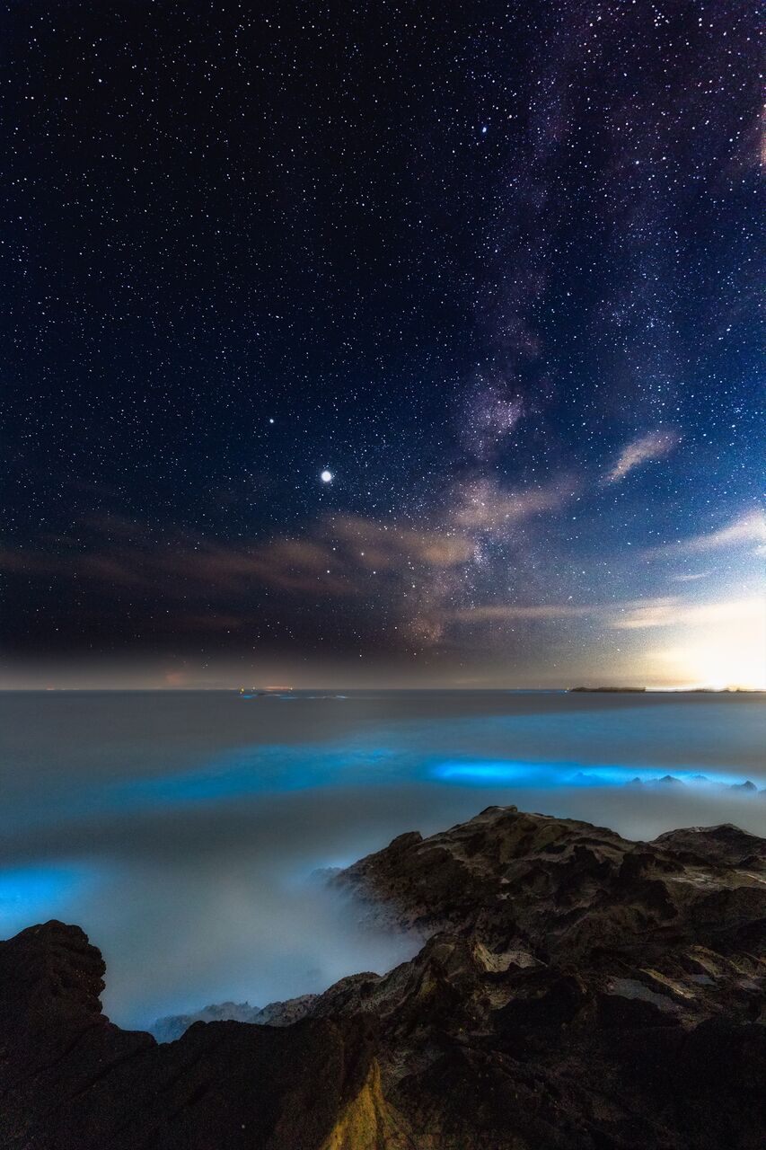 江奈湾松輪海岸 撮影行 夜光虫 撮り記 食い記