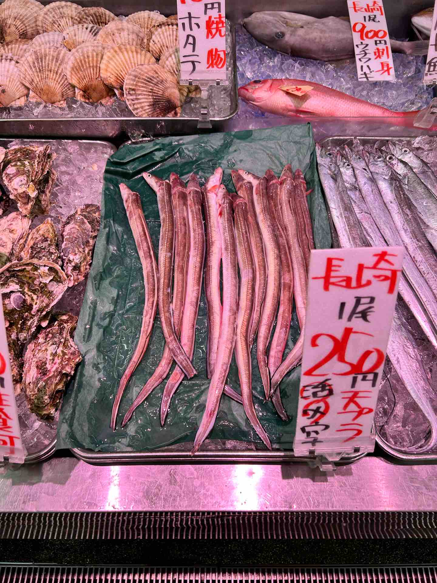 角 上 魚類 諏訪 店