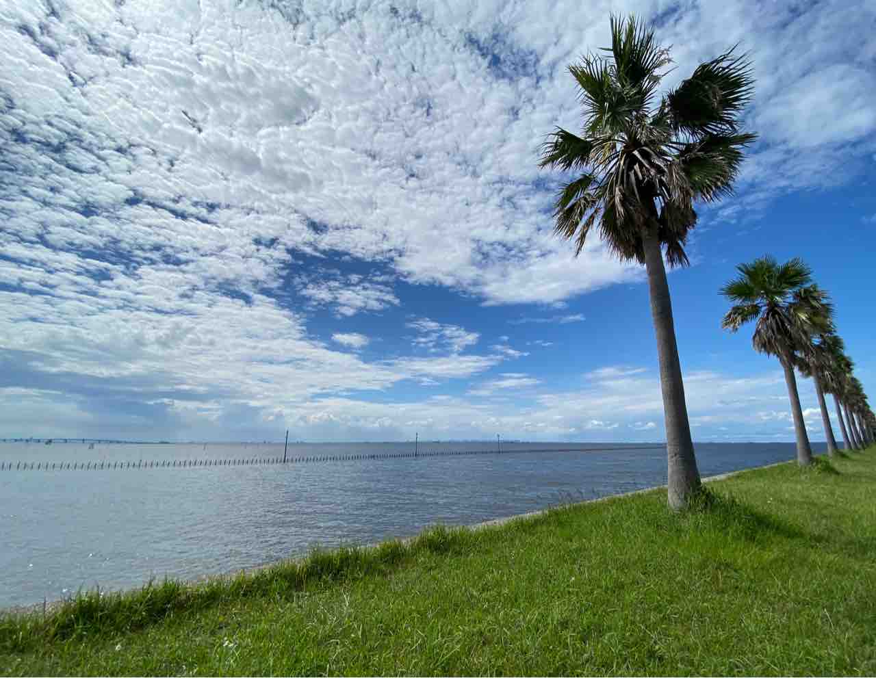 袖ヶ浦海浜公園 ロケハン 千葉フォルニア 撮影行 撮り記 食い記