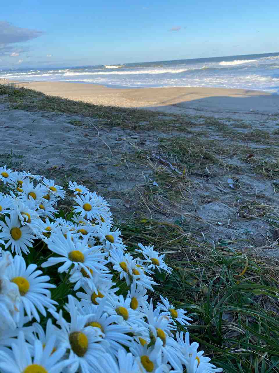 伊師浜 小貝ヶ浜 東滑川ヒカリモ公園 ロケハン 東滑川ヒカリモ公園 撮影行 撮り記 食い記