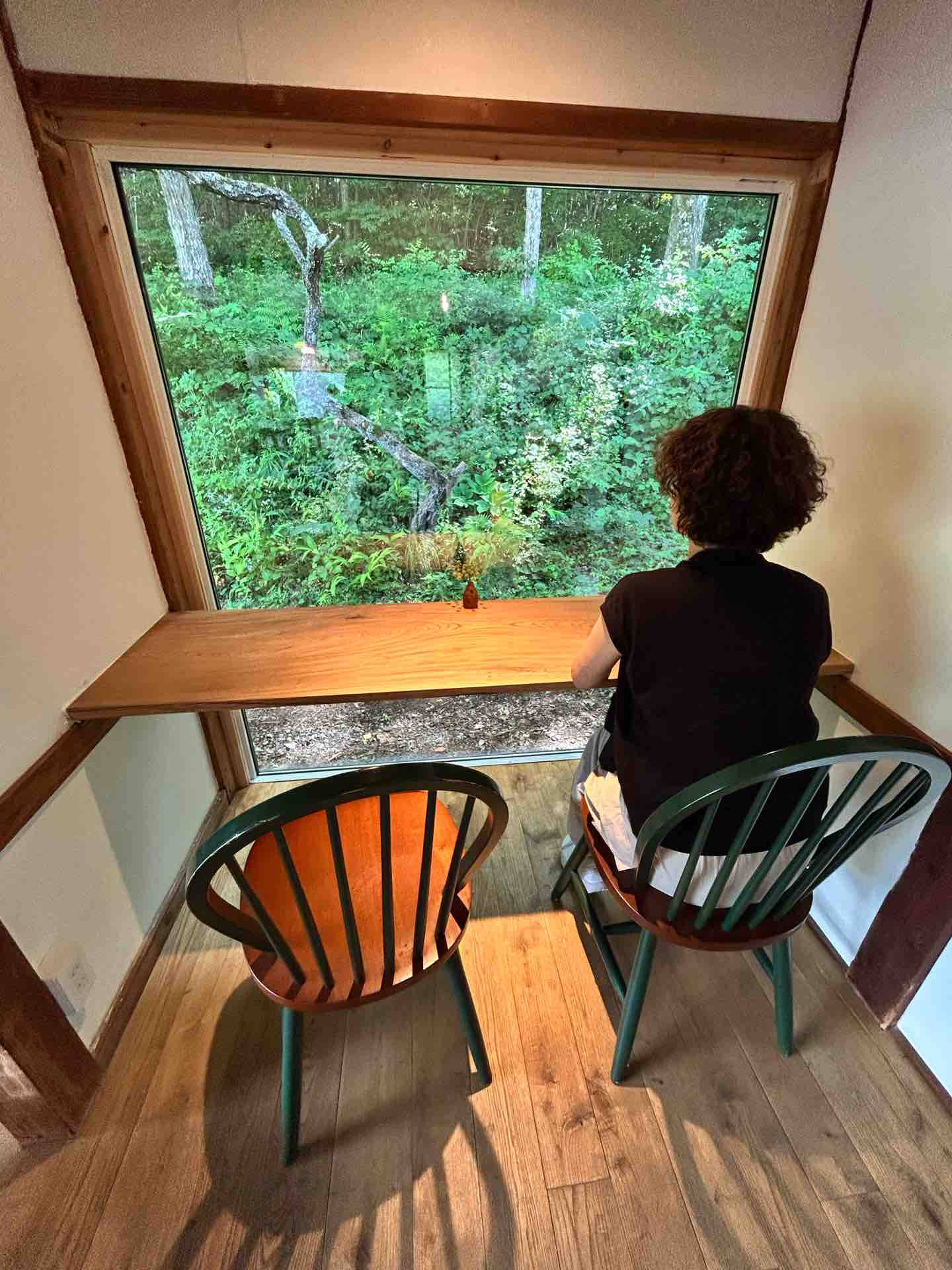 四万十川の流木お題 ： ドラゴンヘッド