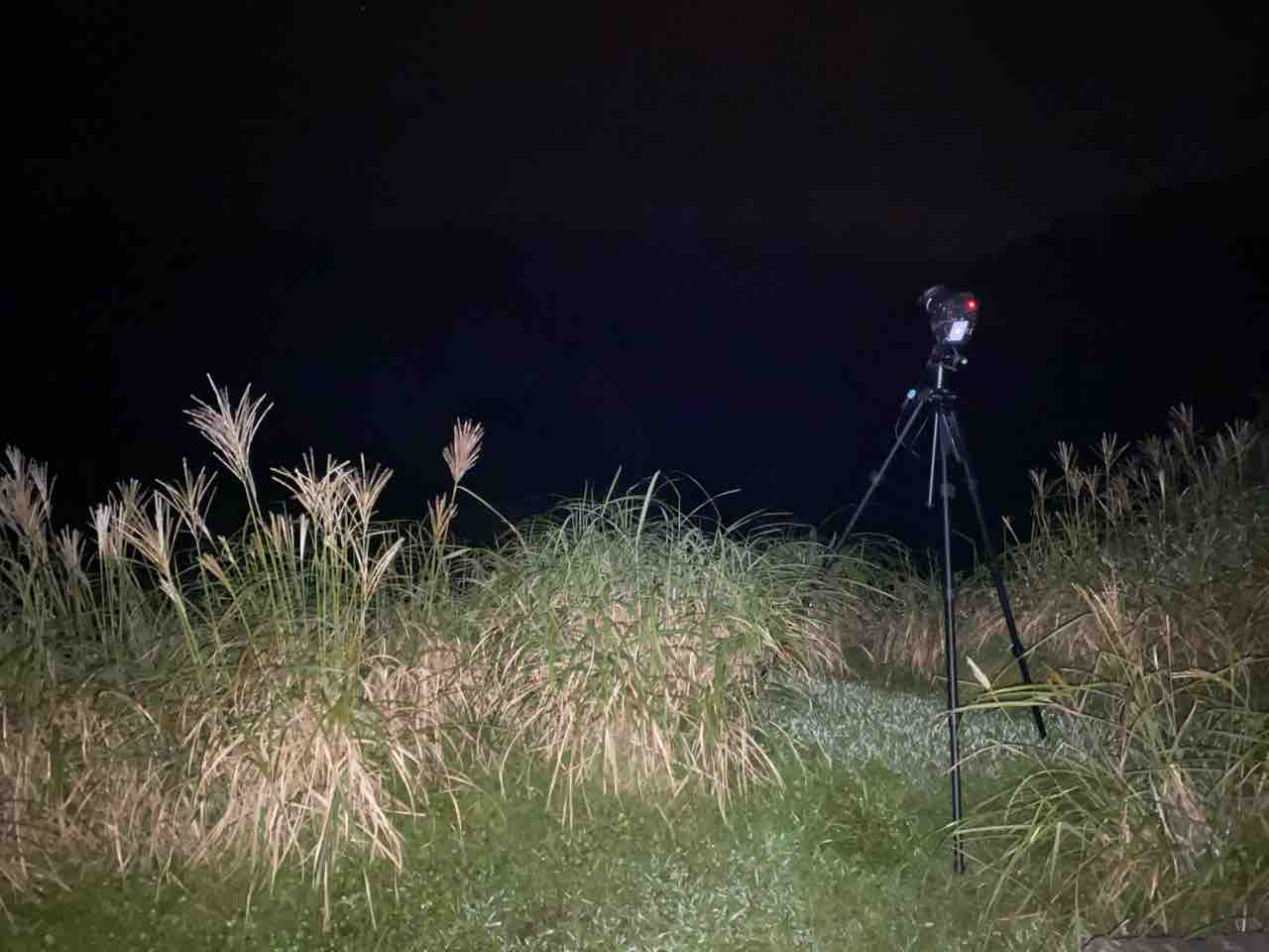 西伊豆スカイライン 大平台駐車場 撮影行 撮り記 食い記