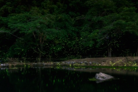 IMG_1560-強化_背景_中央値_比較明_マスク_ssha_特定色域_オートン_R