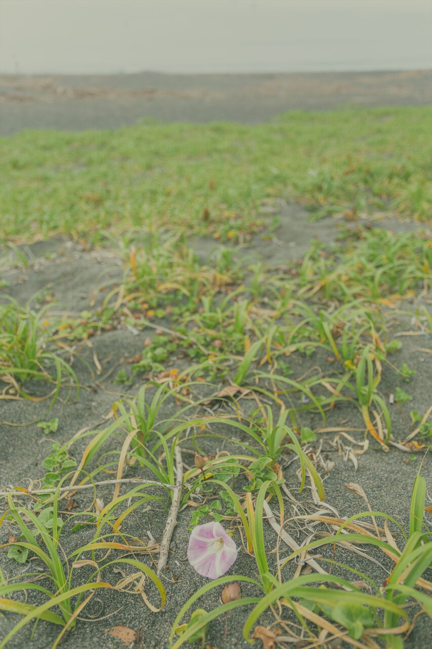 Succa 平塚駅 撮り記 食い記