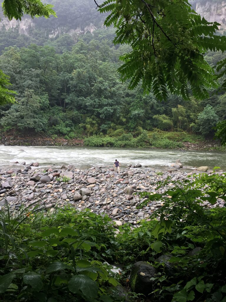 ひするまキャンプ場 撮り記 食い記 ひするまキャンプ場 撮り記 食い記