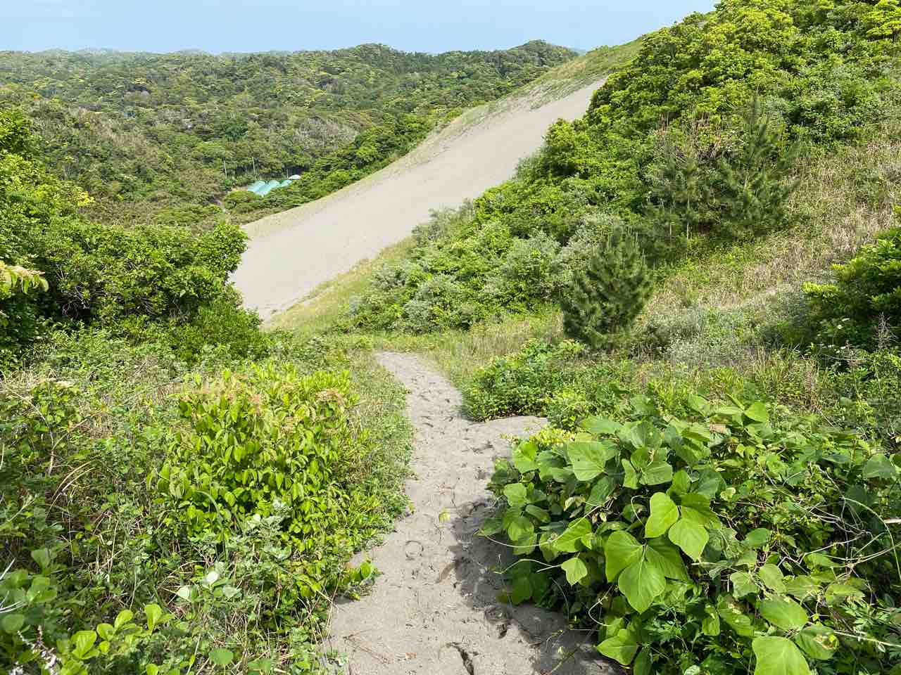 館山砂丘 布良海岸 塩浦海水浴場 ロケハン 撮り記 食い記